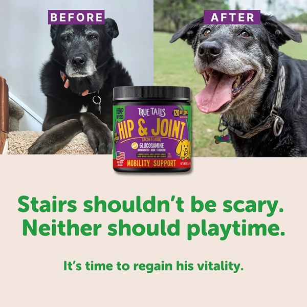 This ad features a side-by-side comparison of a senior dog, demonstrating the restorative benefits of hip and joint mobility support supplements.